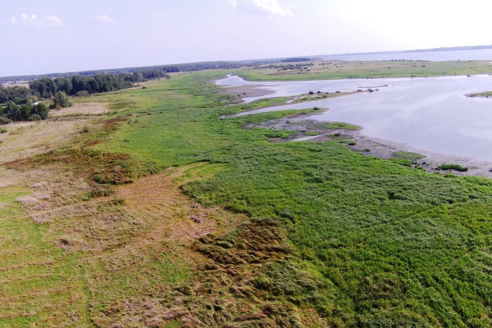 земля р-н Рыбинский фото 1