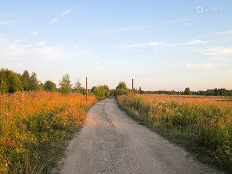 земля р-н Чудовский фото 3