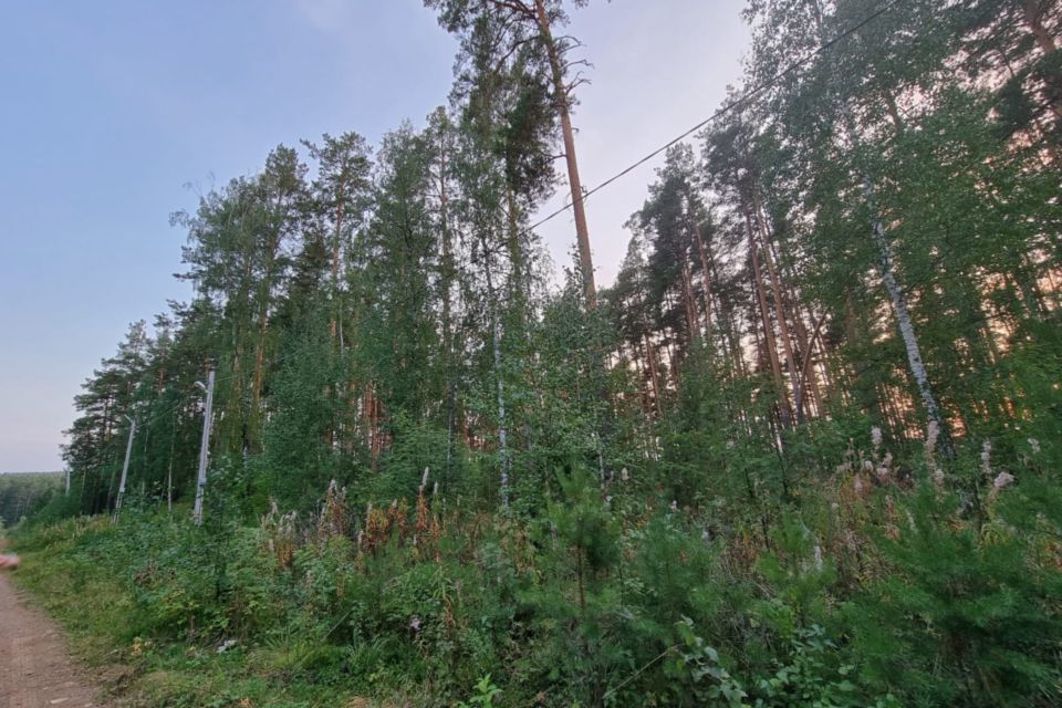 земля р-н Сысертский фото 10