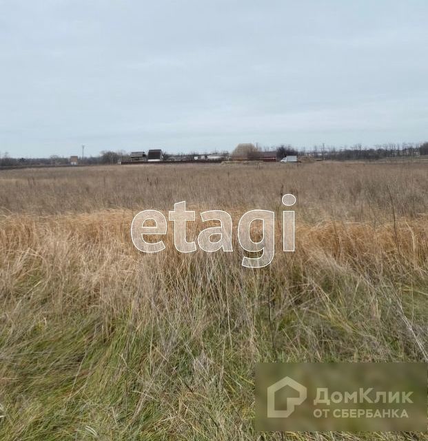 земля р-н Ейский с Александровка ул Совхозная фото 3