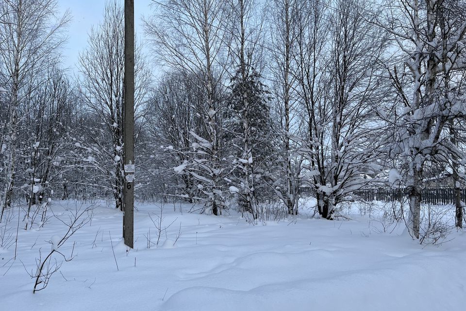 земля р-н Александровский фото 4