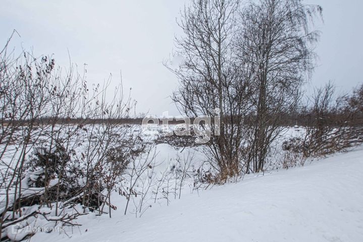 земля р-н Тобольский фото 2