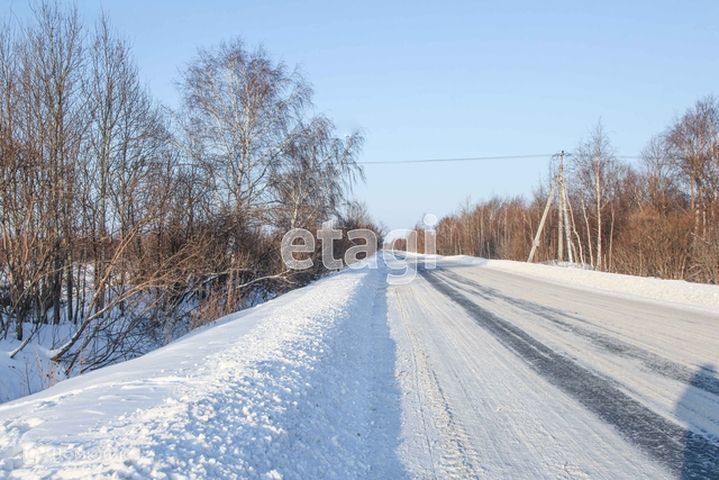 земля р-н Тобольский фото 4