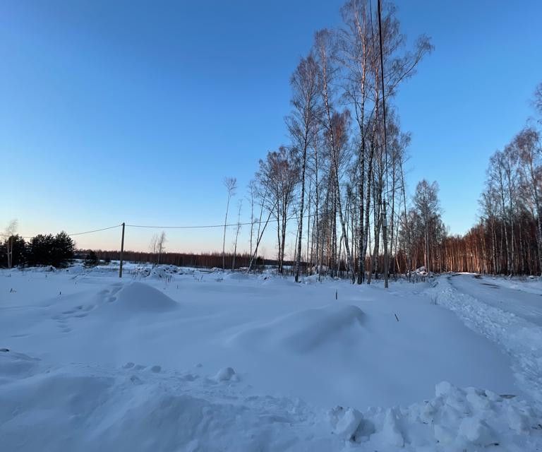 земля р-н Некрасовский фото 1