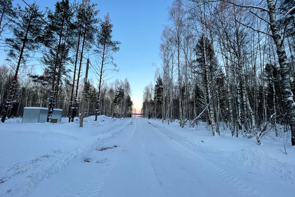 земля р-н Некрасовский фото 2