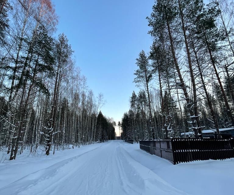 земля р-н Некрасовский фото 3