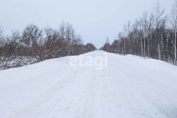 земля р-н Тобольский фото 5