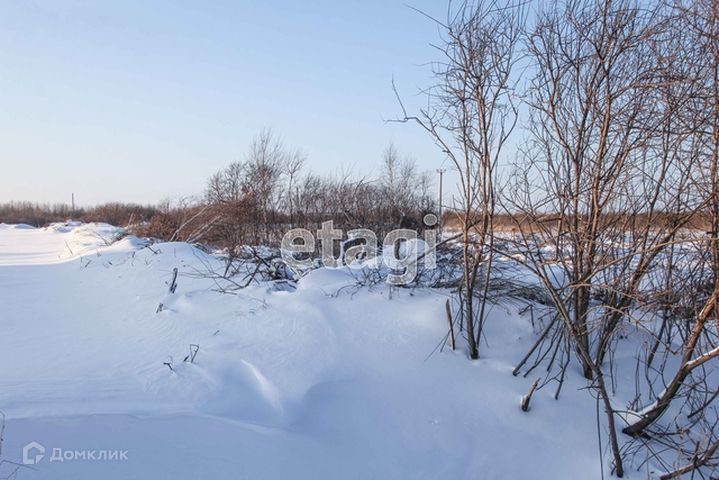 земля р-н Тобольский фото 5