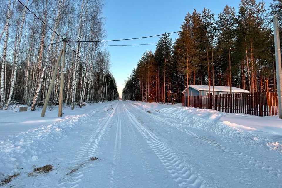 земля р-н Некрасовский фото 8