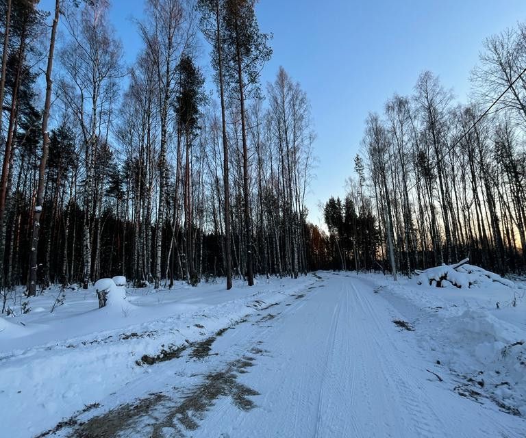 земля р-н Некрасовский фото 7