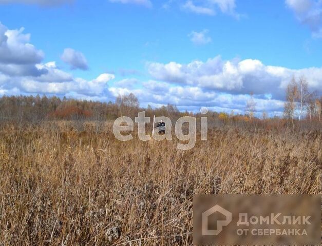 земля р-н Каслинский фото 6