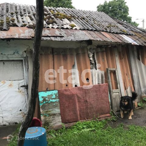 дом р-н Белгородский с Бессоновка ул Мичурина фото 10