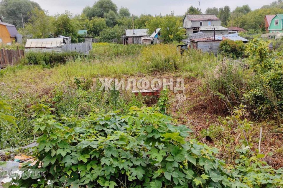 земля г Новосибирск фото 1