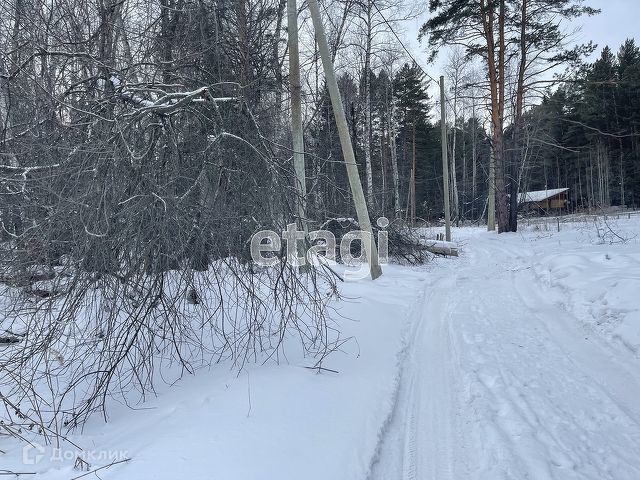 земля р-н Емельяновский п Элита ул Сосновая 62 фото 4