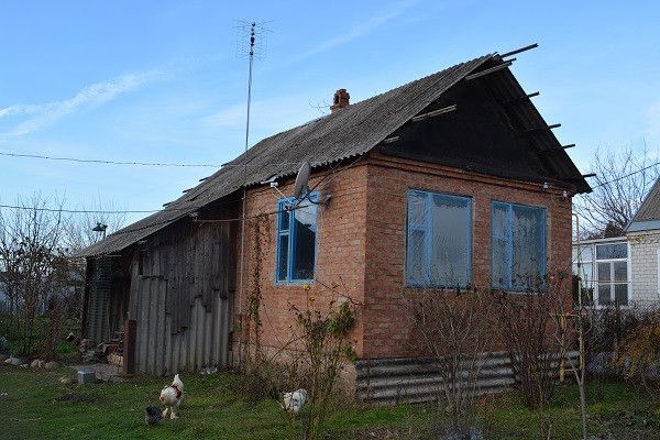 земля р-н Тбилисский ст-ца Тбилисская ул Первомайская 59 фото 7