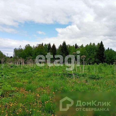 земля г Сыктывкар ул Станционная 104 фото 7