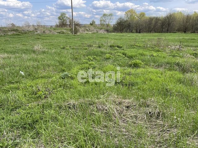 земля р-н Белгородский фото 6