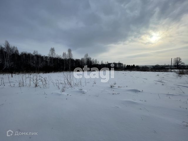 земля р-н Емельяновский п Элита ул Советская фото 8