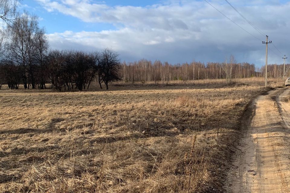 земля р-н Некрасовский фото 4