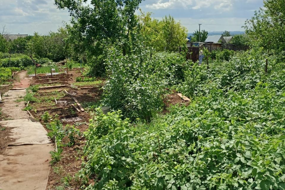 Купить Дачу В Оренбурге Колхоз Ленина