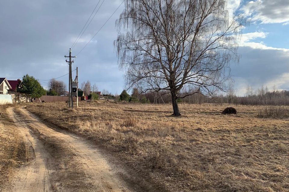 земля р-н Некрасовский фото 6