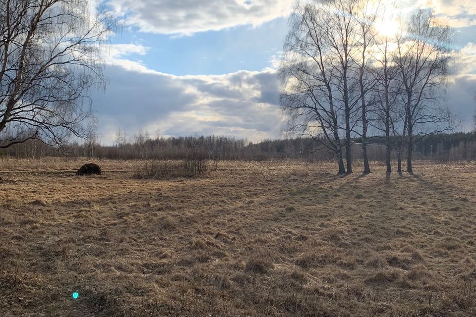 земля р-н Некрасовский фото 5