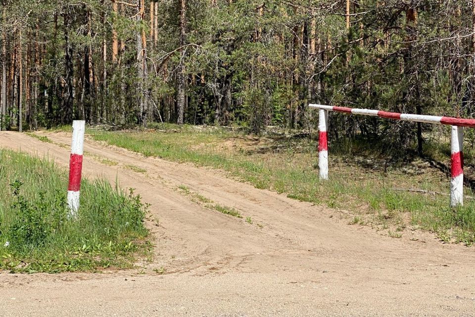 земля р-н Вышневолоцкий фото 6