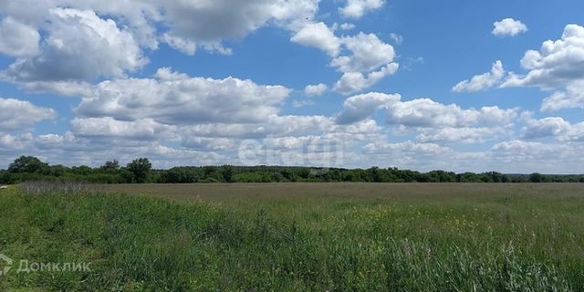 ул Речная фото