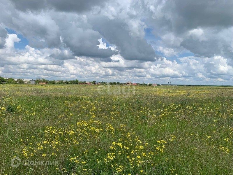 земля р-н Сакский с Крымское ул Молодежная фото 2