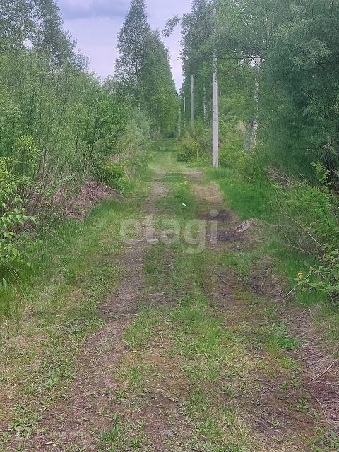 земля р-н Хабаровский фото 4