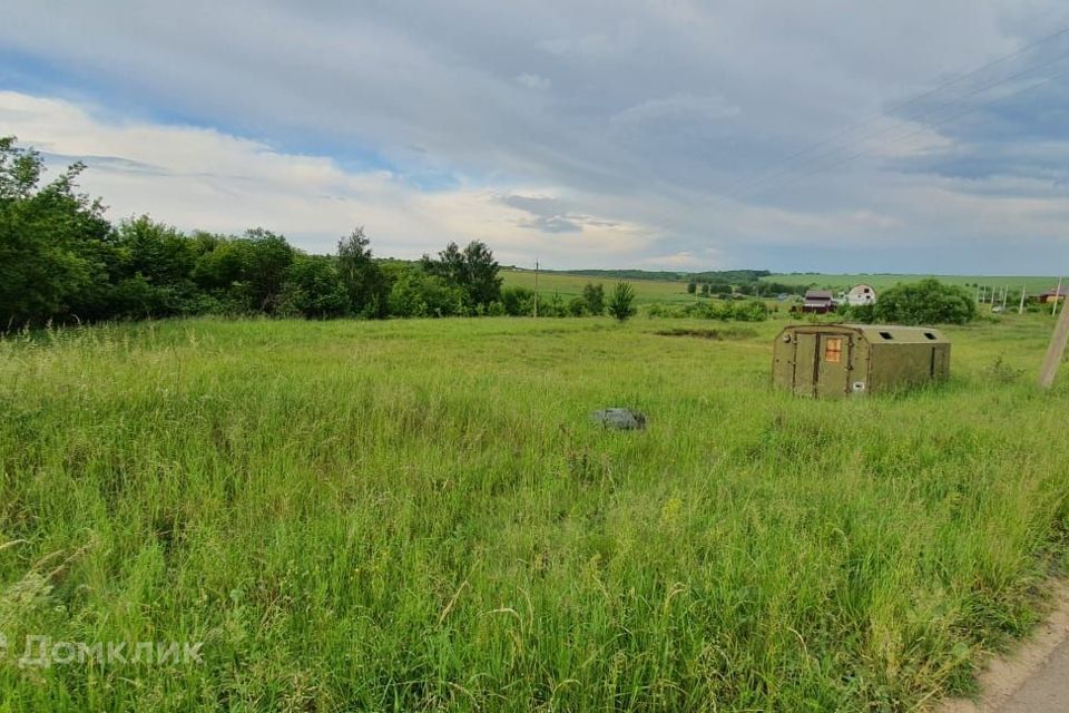 земля р-н Курский фото 3