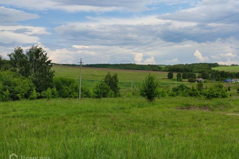 земля р-н Курский фото 4