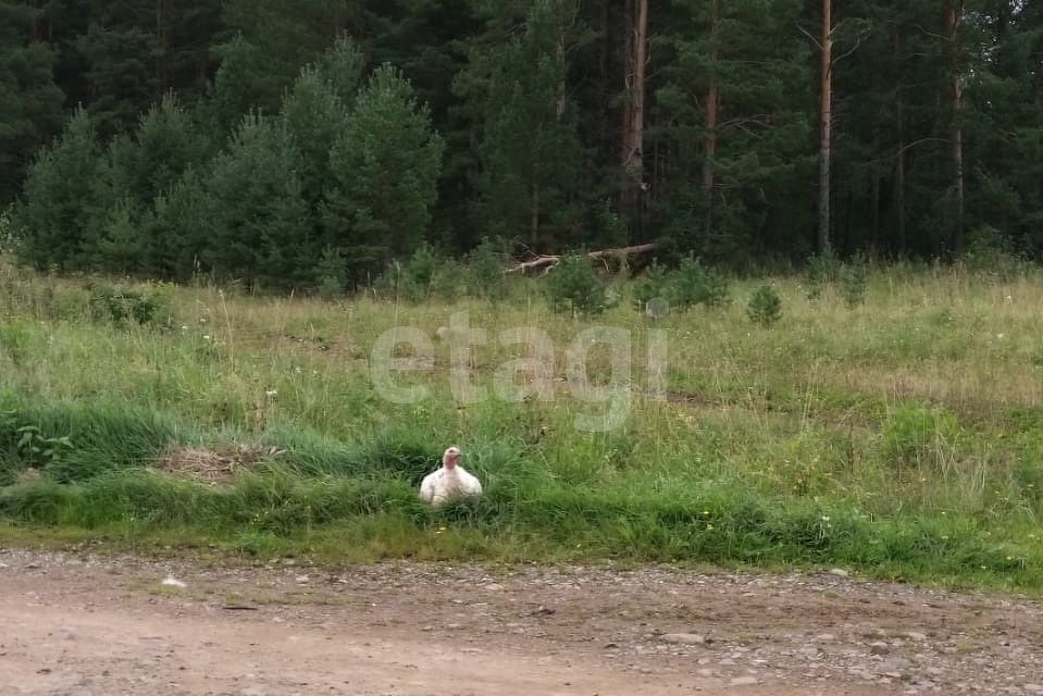 земля р-н Пригородный фото 3