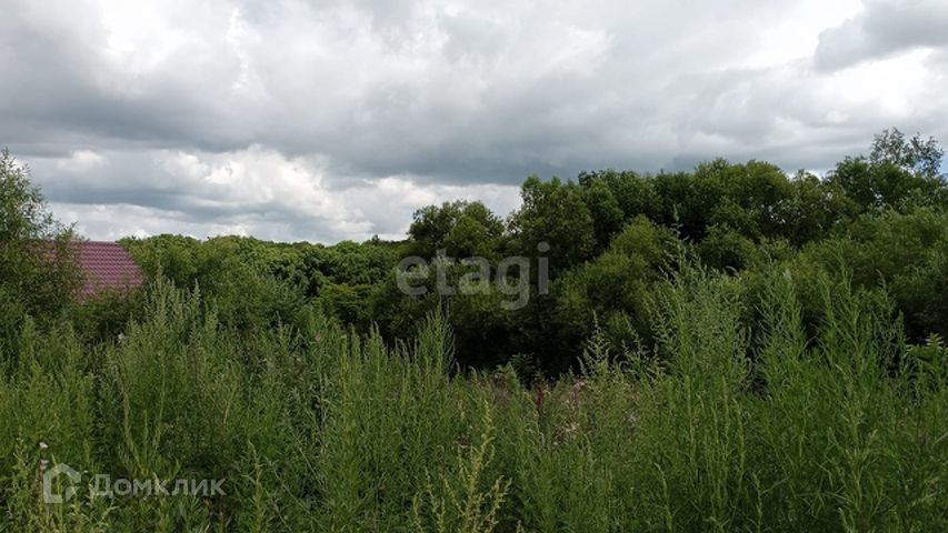 земля р-н Хабаровский фото 5