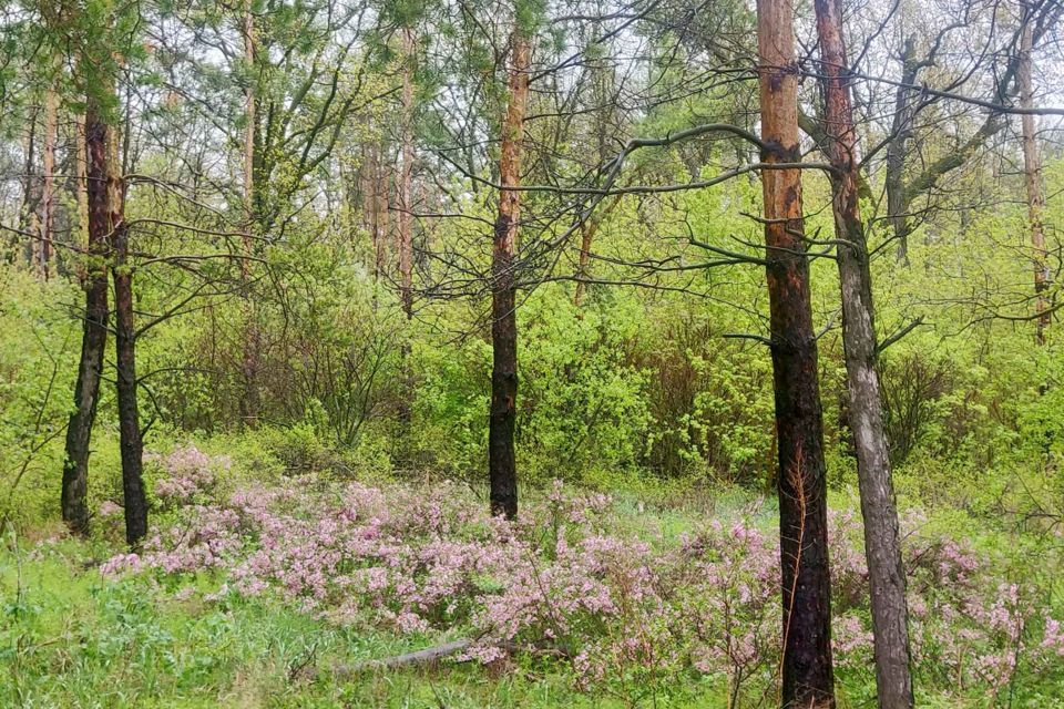 земля р-н Ставропольский фото 8