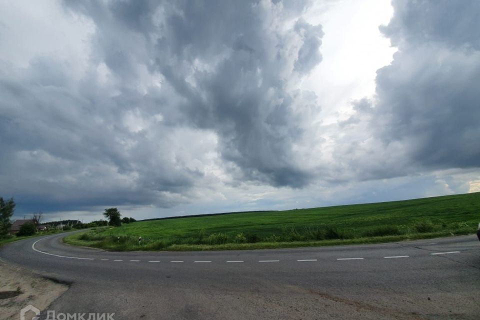 земля р-н Курский фото 10