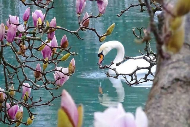 дом с Илларионовка р-н Адлерский фото