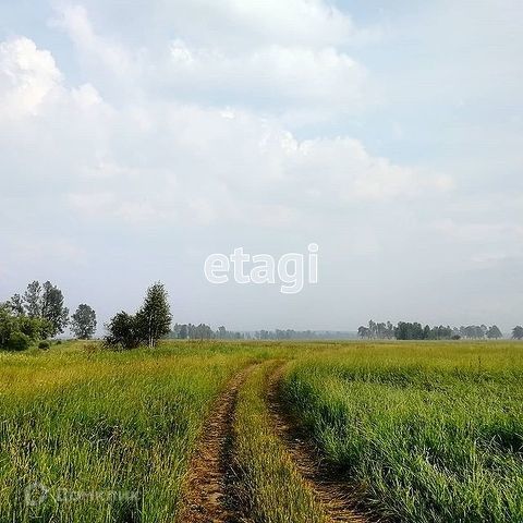 земля р-н Сухобузимский фото 1