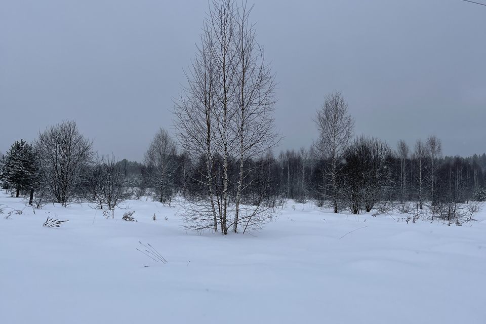 земля р-н Юхновский фото 4