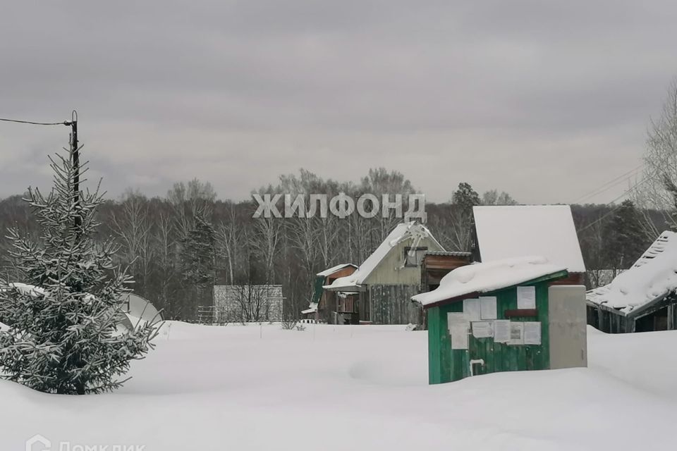 земля р-н Новосибирский фото 4