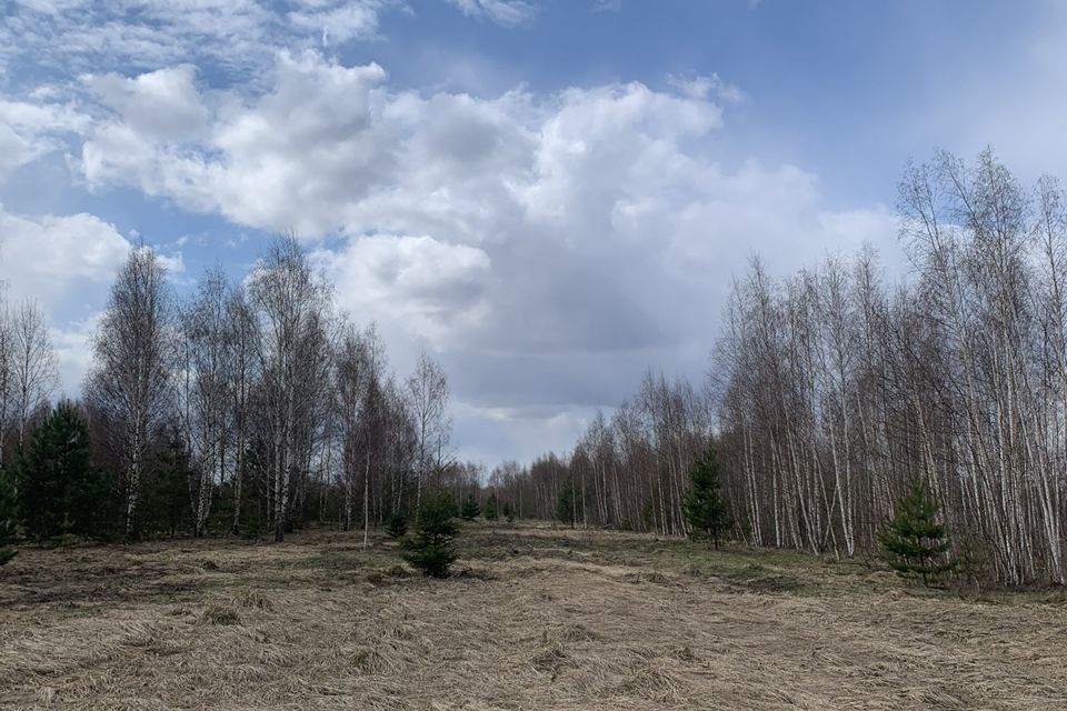 земля р-н Некрасовский фото 4