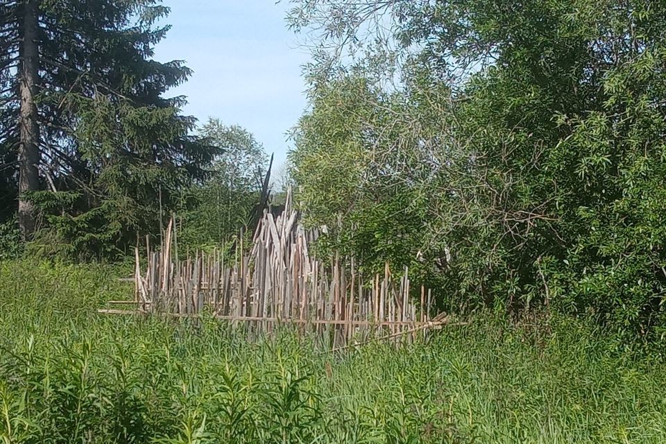 земля р-н Соликамский фото 1