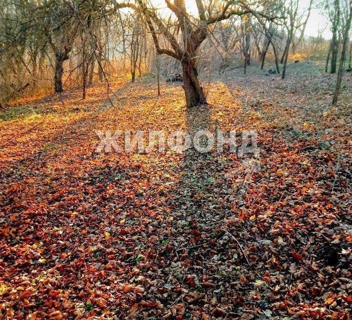 земля р-н Белгородский фото 3