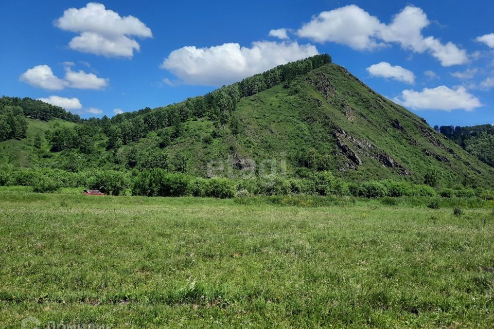 земля р-н Алтайский фото 1