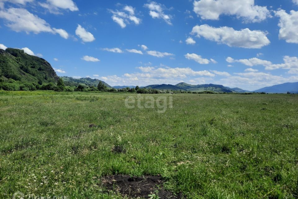 земля р-н Алтайский фото 3