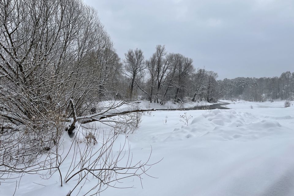 земля р-н Юхновский фото 6