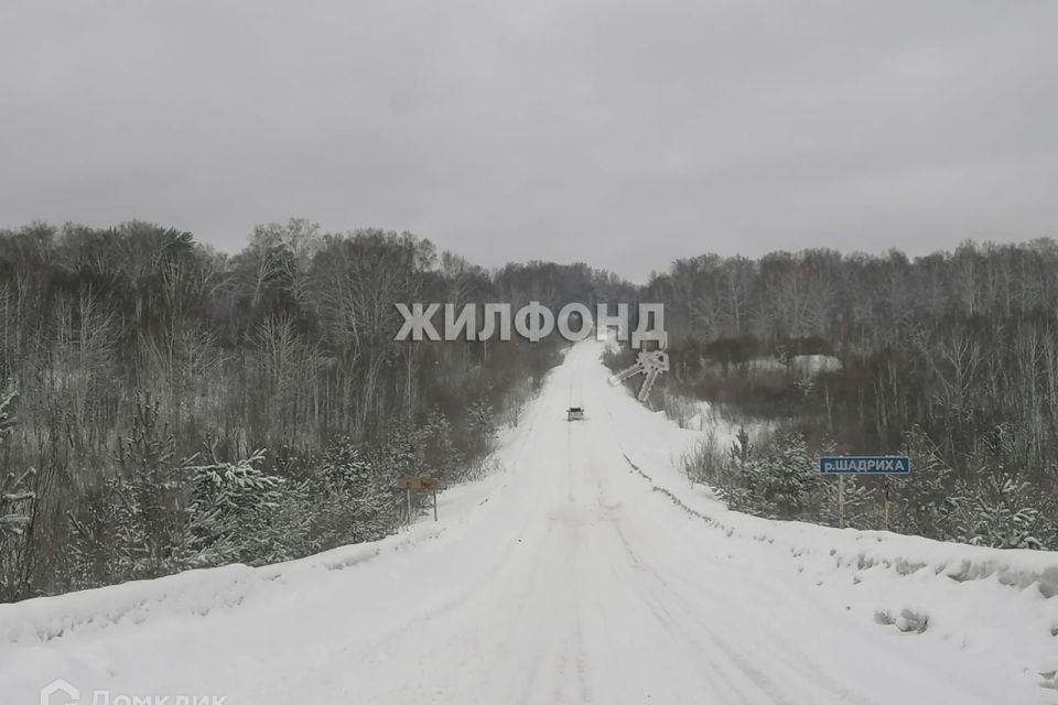 земля р-н Новосибирский фото 6