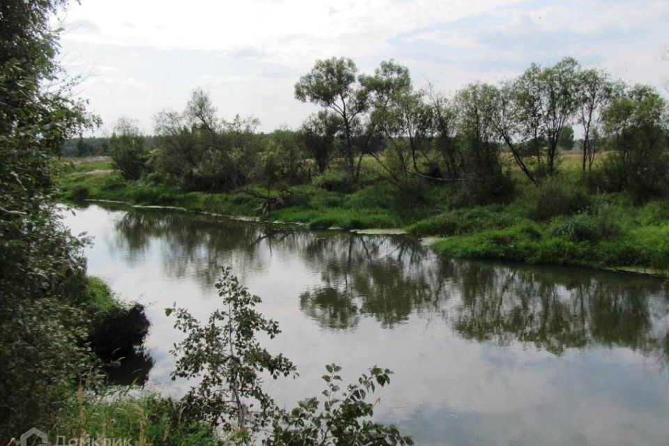 земля р-н Киржачский д Никифорово ул Восточная фото 9