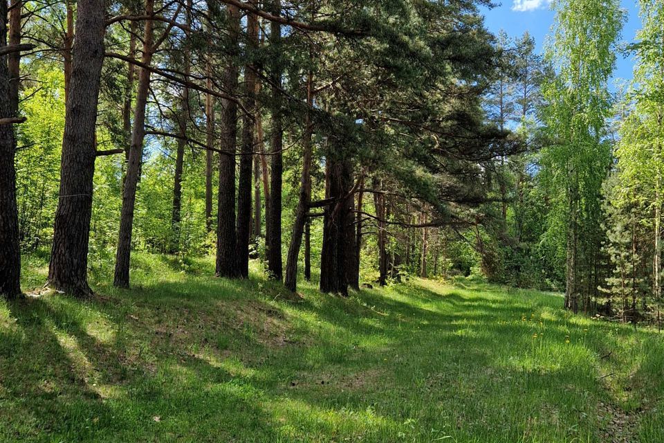 земля р-н Невельский фото 10