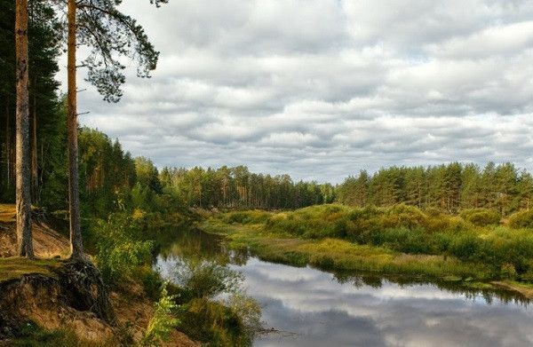 дом р-н Рамешковский с/п Кушалино с Кушалино ул Горького фото 7